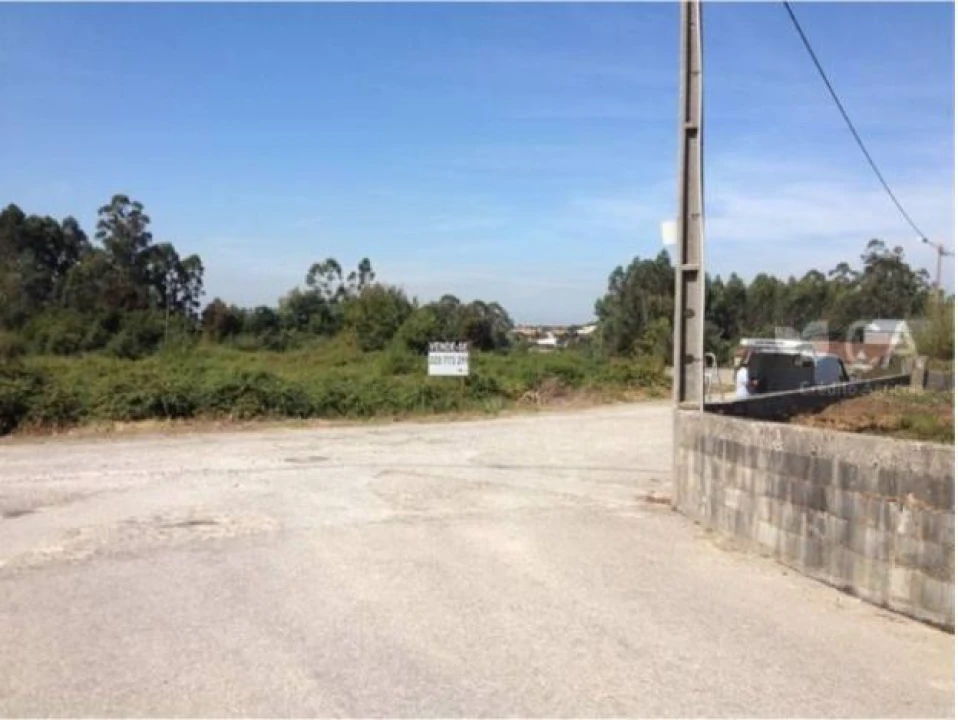 Terreno para Venda em Pinheiro da Bemposta, Travanca e Palmaz Foto 1