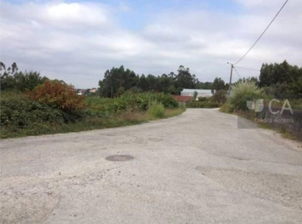Terreno para Venda em Pinheiro da Bemposta, Travanca e Palmaz Foto 2