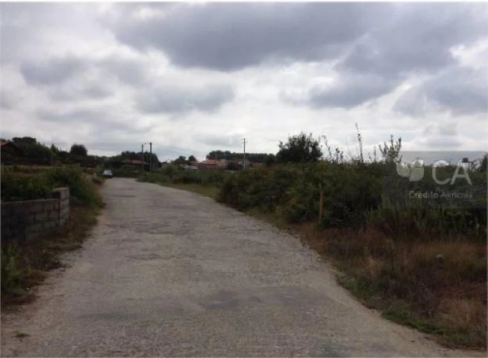 Terreno para Venda em Pinheiro da Bemposta, Travanca e Palmaz Foto 3