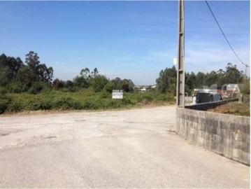 Terreno para Venda em Pinheiro da Bemposta, Travanca e Palmaz