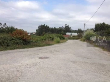 Terreno para Venda em Pinheiro da Bemposta, Travanca e Palmaz