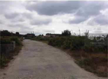 Terreno para Venda em Pinheiro da Bemposta, Travanca e Palmaz