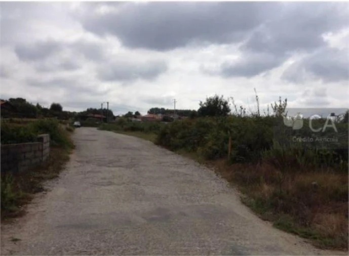 Terreno para Venda em Pinheiro da Bemposta, Travanca e Palmaz Foto 3