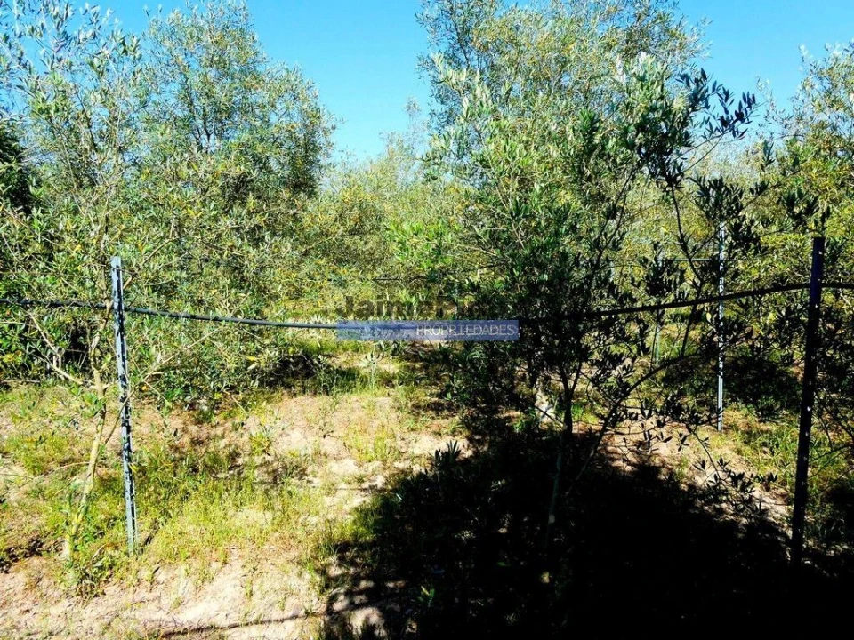 Moradia T6 para Venda em Pegões Foto 5