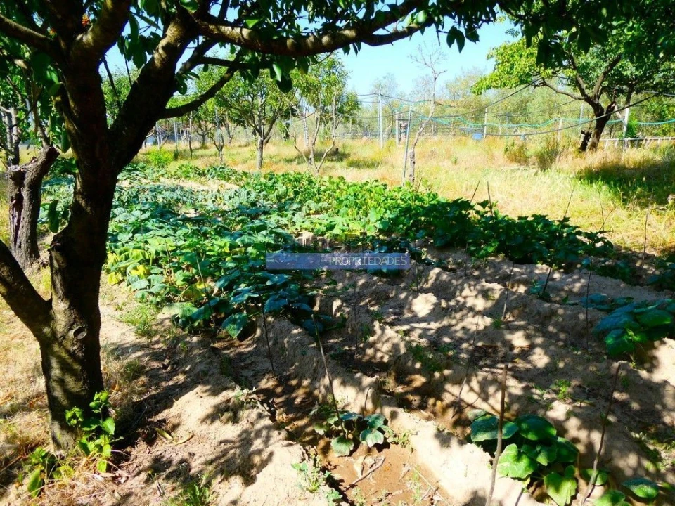 Moradia T6 para Venda em Pegões Foto 6
