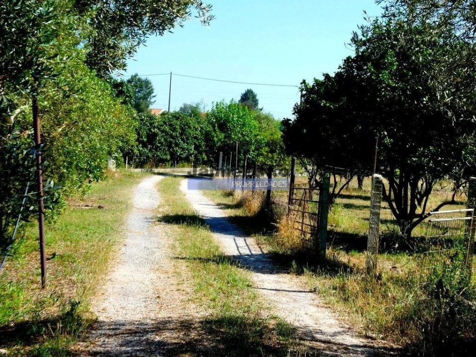Moradia T6 para Venda em Pegões Foto 7
