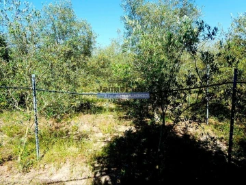 Moradia T6 para Venda em Pegões