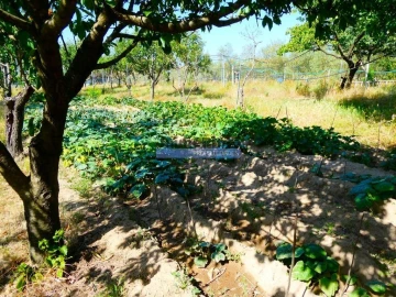 Moradia T6 para Venda em Pegões