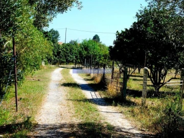 Moradia T6 para Venda em Pegões