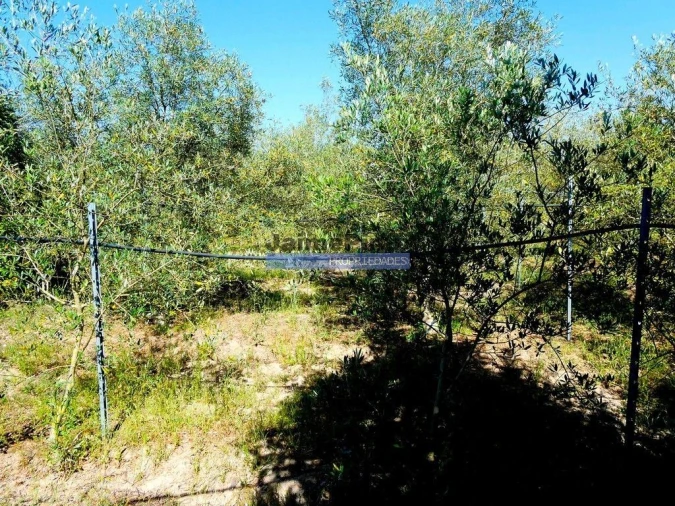 Moradia T6 para Venda em Pegões Foto 5