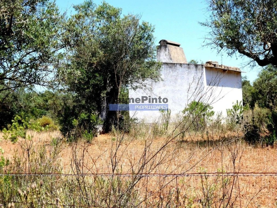 Terreno Agricola ou Rústico para Venda em Amieira e Alqueva Foto 1