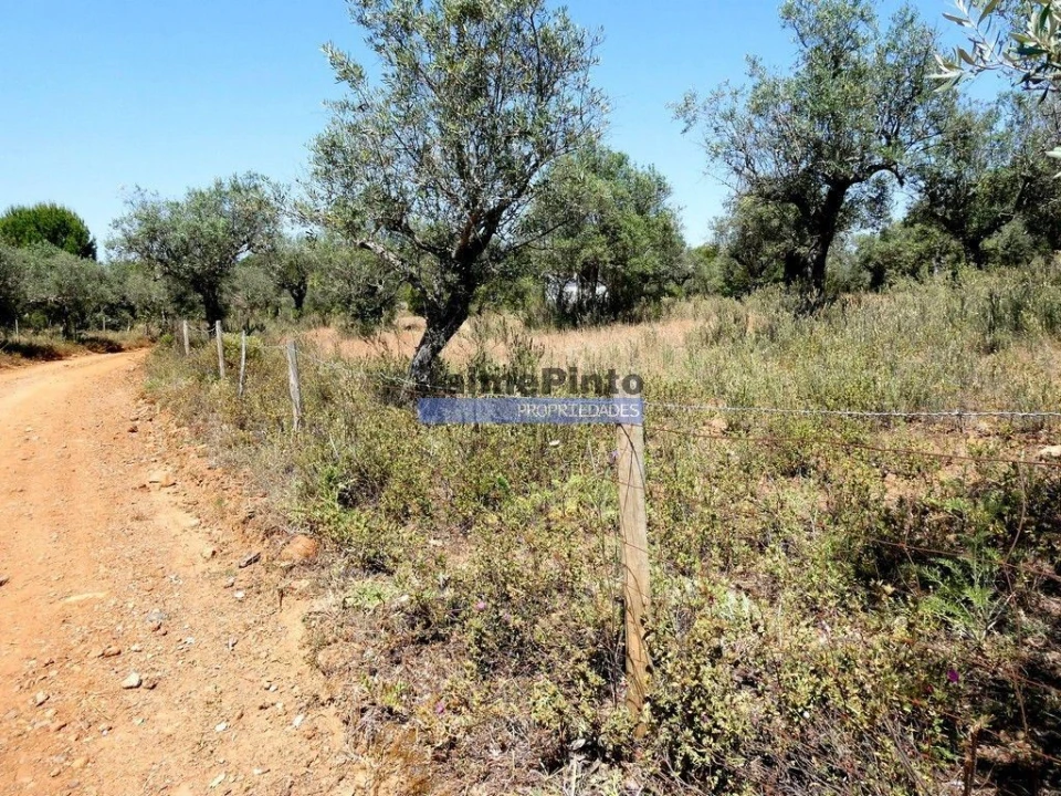 Terreno Agricola ou Rústico para Venda em Amieira e Alqueva Foto 3