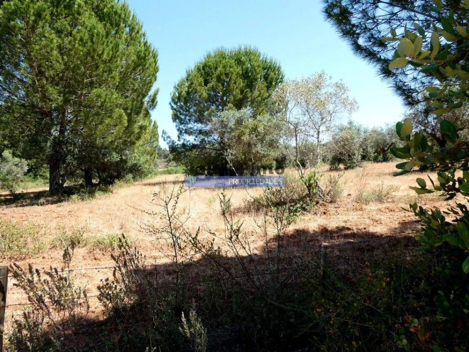 Terreno Agricola ou Rústico para Venda em Amieira e Alqueva Foto 4