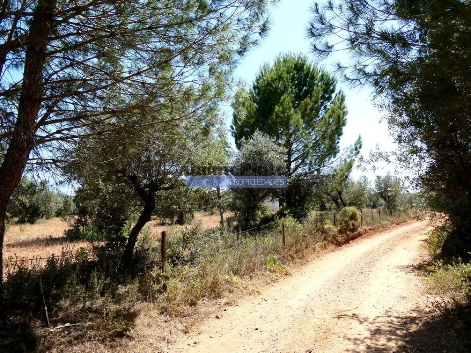 Terreno Agricola ou Rústico para Venda em Amieira e Alqueva Foto 5