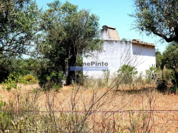 Terreno Agricola ou Rústico para Venda em Amieira e Alqueva