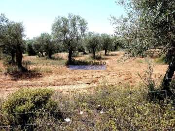 Terreno Agricola ou Rústico para Venda em Amieira e Alqueva