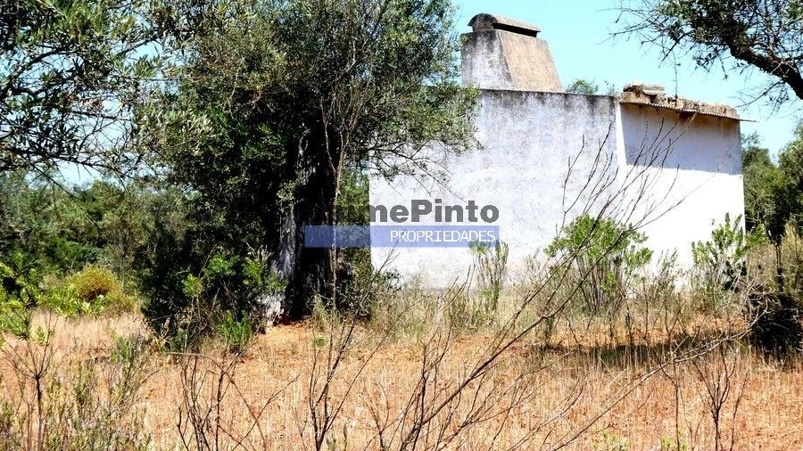 Terreno Agricola ou Rústico para Venda em Amieira e Alqueva