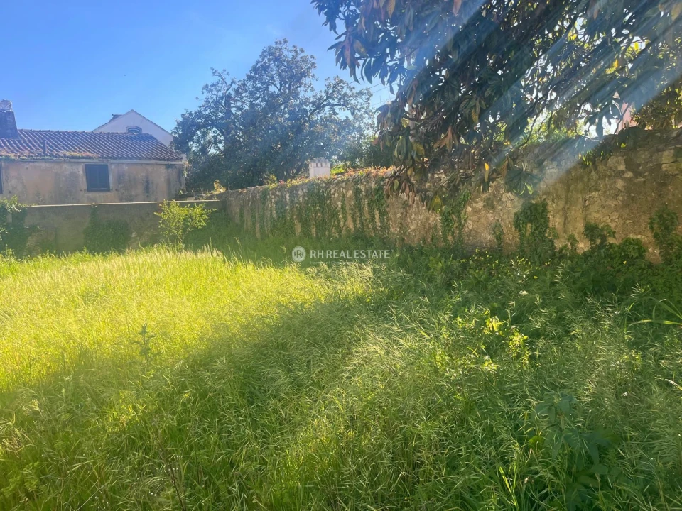 Terreno P/ Prédio para Venda em Ançã Foto 1