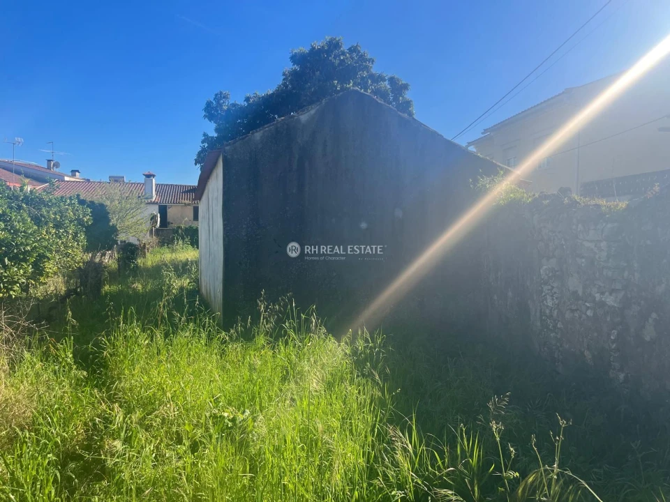 Terreno P/ Prédio para Venda em Ançã Foto 2