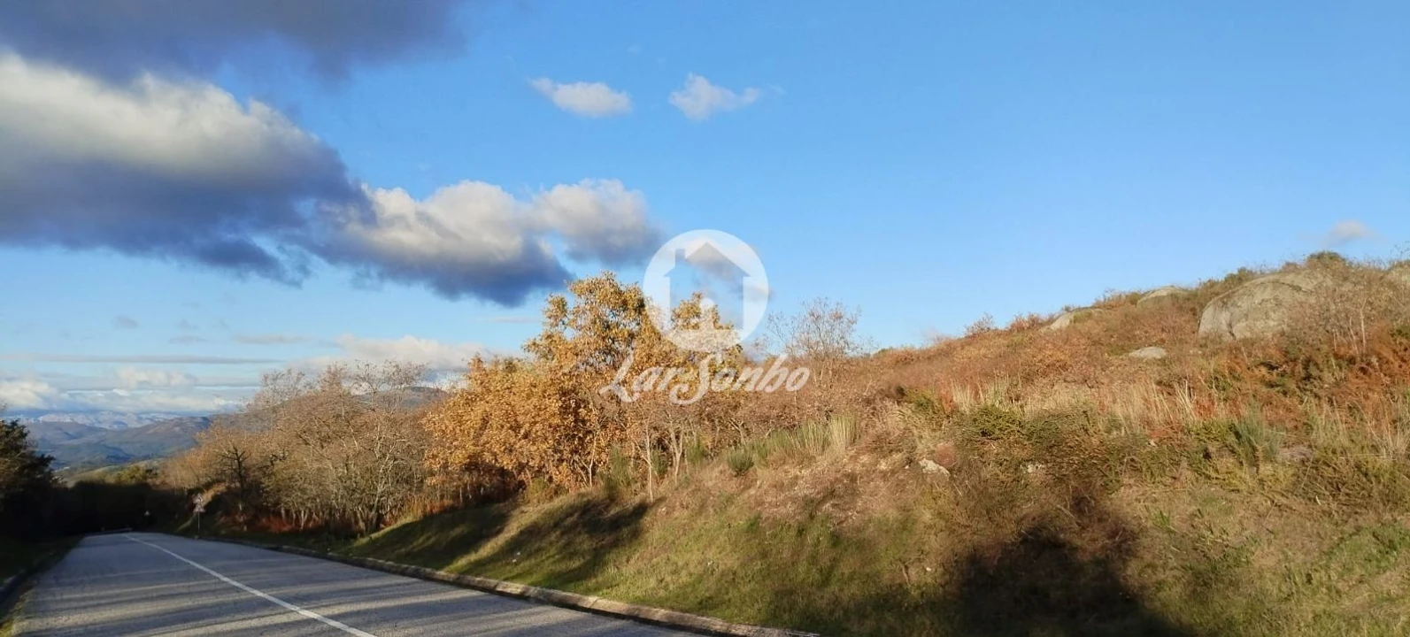 Terreno Agricola ou Rústico para Venda em Aboim, Felgueiras, Gontim e Pedraído Foto 1