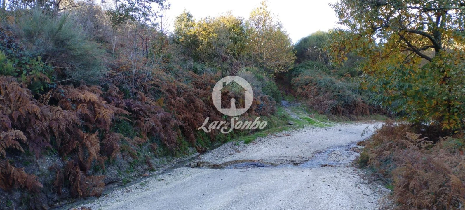 Terreno Agricola ou Rústico para Venda em Aboim, Felgueiras, Gontim e Pedraído Foto 11