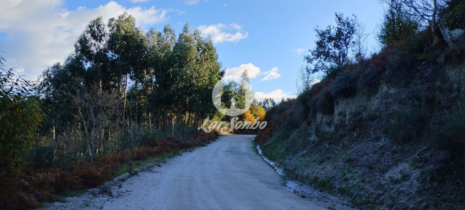 Terreno Agricola ou Rústico para Venda em Aboim, Felgueiras, Gontim e Pedraído Foto 13