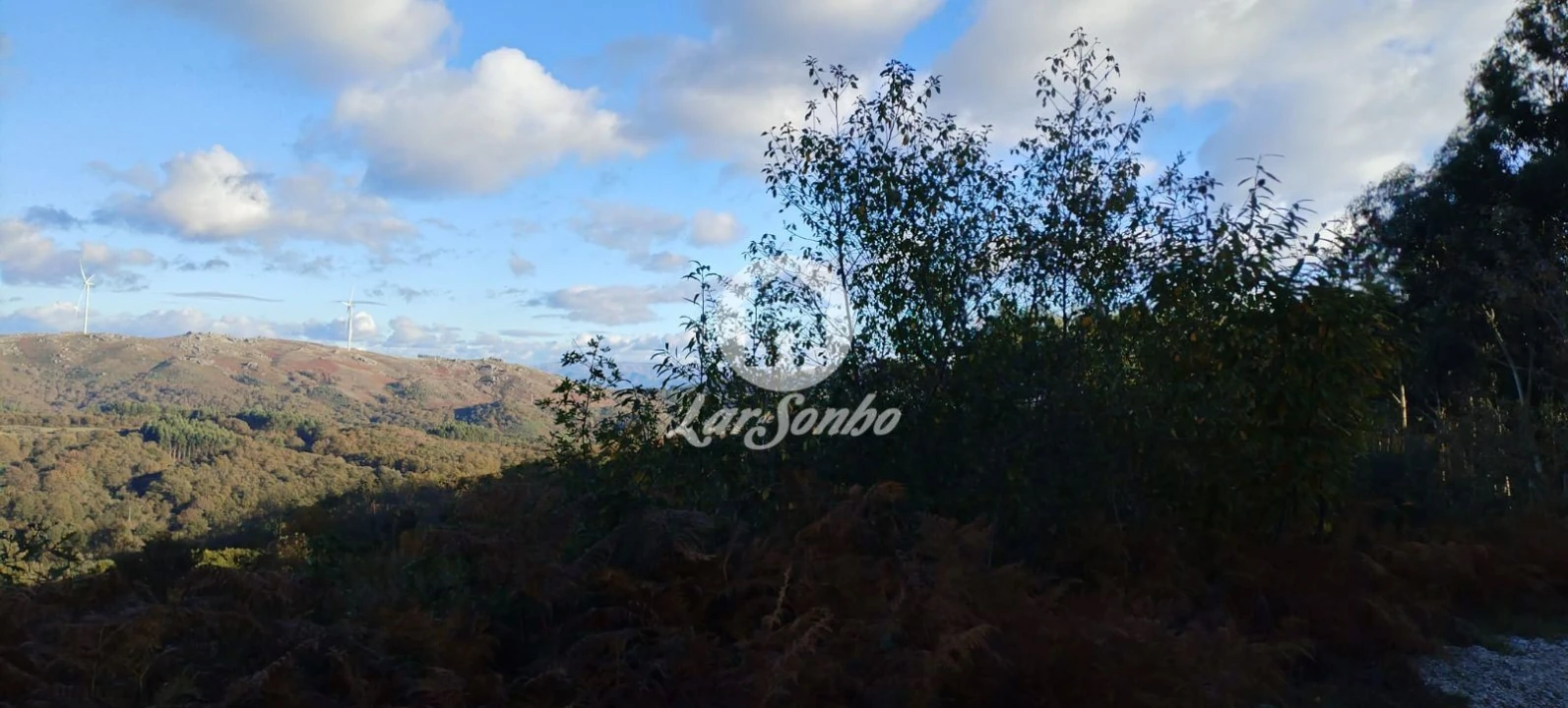Terreno Agricola ou Rústico para Venda em Aboim, Felgueiras, Gontim e Pedraído Foto 14