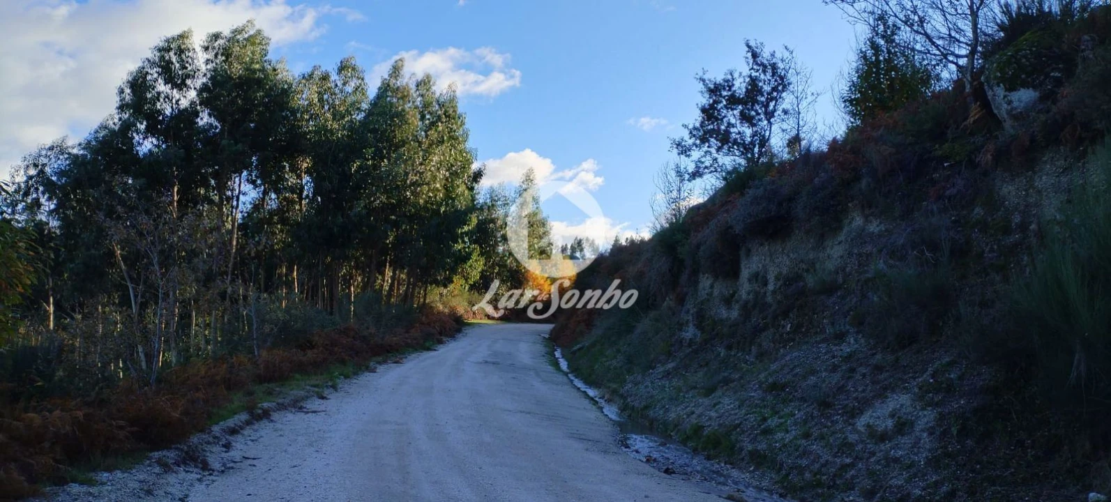 Terreno Agricola ou Rústico para Venda em Aboim, Felgueiras, Gontim e Pedraído Foto 19