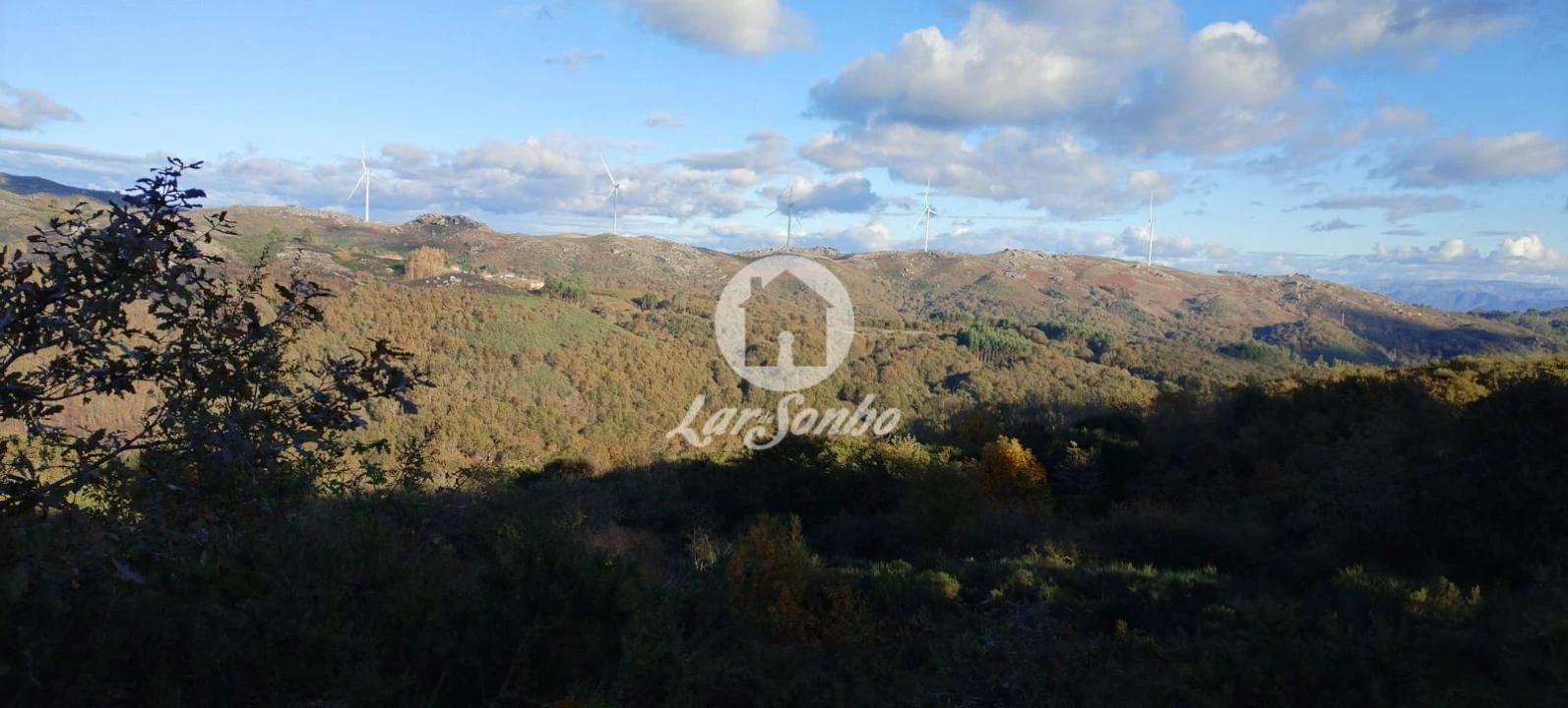 Terreno Agricola ou Rústico para Venda em Aboim, Felgueiras, Gontim e Pedraído Foto 20