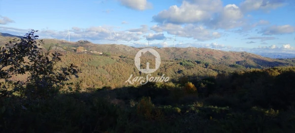 Terreno Agricola ou Rústico para Venda em Aboim, Felgueiras, Gontim e Pedraído