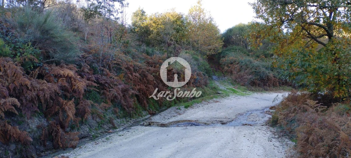Terreno Agricola ou Rústico para Venda em Aboim, Felgueiras, Gontim e Pedraído Foto 11