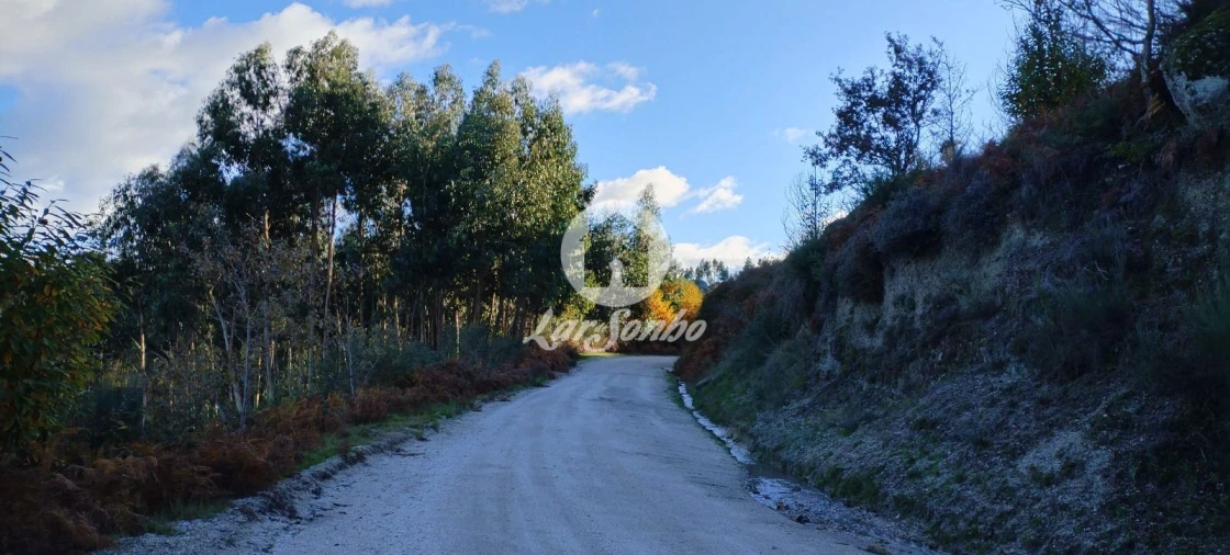 Terreno Agricola ou Rústico para Venda em Aboim, Felgueiras, Gontim e Pedraído Foto 13