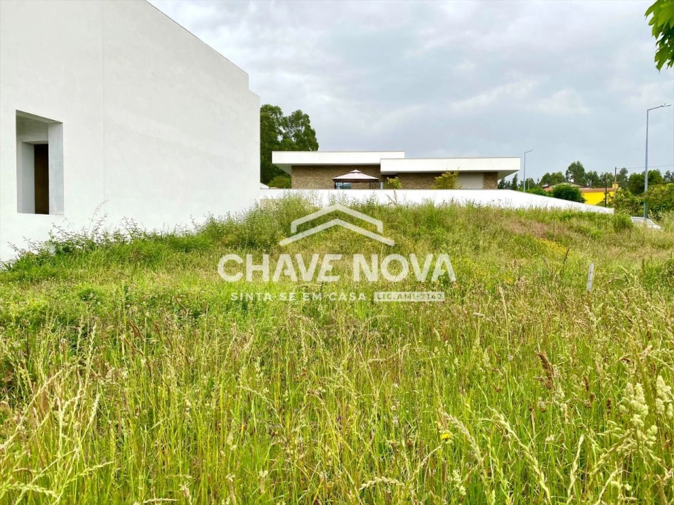 Terreno para Venda em Argoncilhe Foto 4