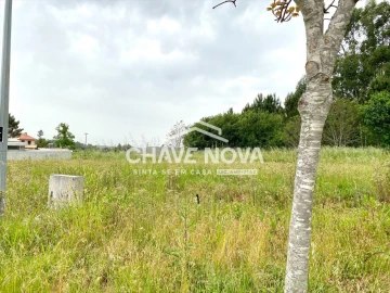 Terreno para Venda em Argoncilhe