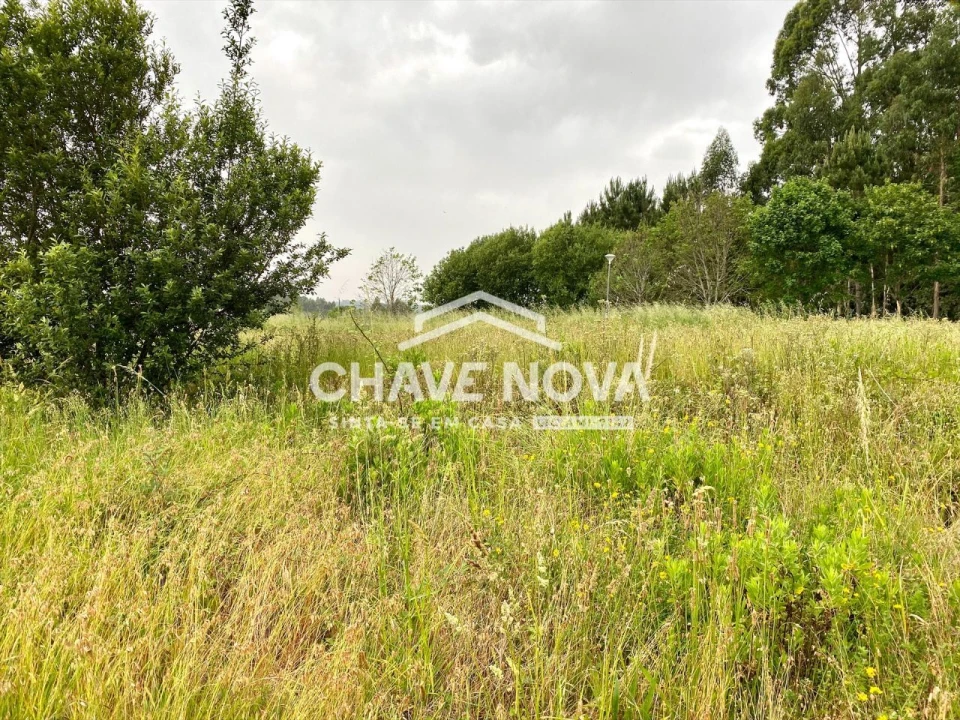 Terreno para Venda em Argoncilhe Foto 2