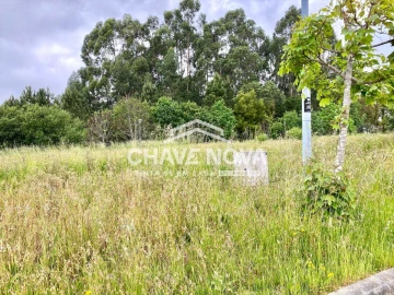 Terreno para Venda em Argoncilhe