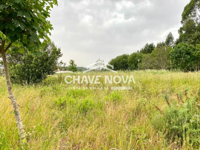 Terreno para Venda em Argoncilhe Foto 3