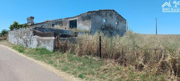 Quinta para Venda em São Vicente e Ventosa