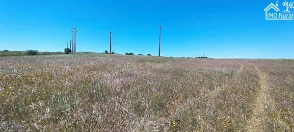 Quinta para Venda em São Vicente e Ventosa