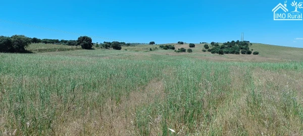 Quinta para Venda em São Vicente e Ventosa