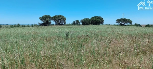 Quinta para Venda em São Vicente e Ventosa