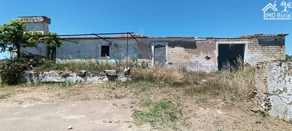Quinta para Venda em São Vicente e Ventosa