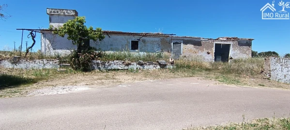 Quinta para Venda em São Vicente e Ventosa