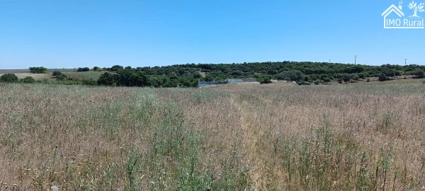 Quinta para Venda em São Vicente e Ventosa