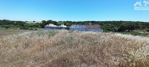 Quinta para Venda em São Vicente e Ventosa