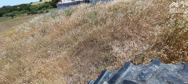 Quinta para Venda em São Vicente e Ventosa