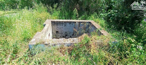 Quinta para Venda em São Vicente e Ventosa