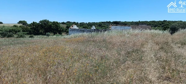 Quinta para Venda em São Vicente e Ventosa