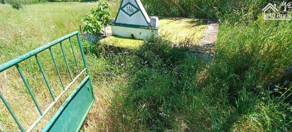 Quinta para Venda em São Vicente e Ventosa