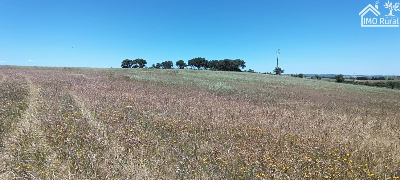 Quinta para Venda em São Vicente e Ventosa Foto 12